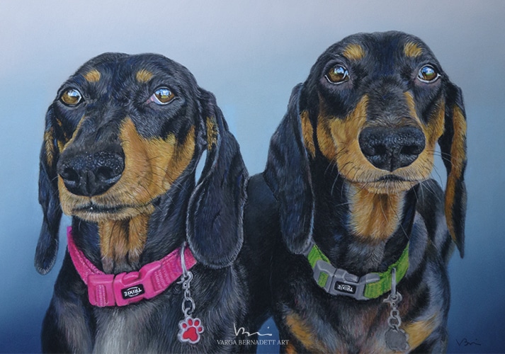 Realistic double Dachshund soft pastel dog portrait from photo, 40x30 cm - Varga Bernadett ART